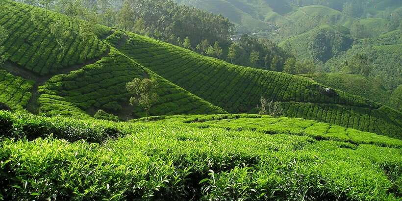 Sri Lanka: 2-Day wildlife tour; rainforest and National park - Who will get the most from this tour?