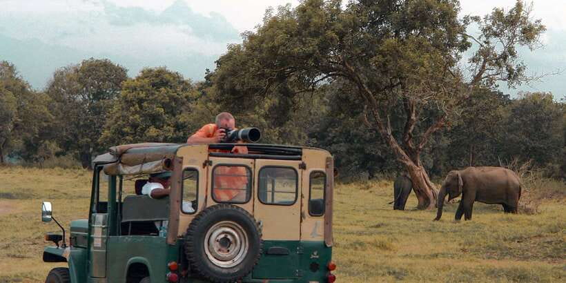 Sri Lanka: Yala National Park Private Safari - Three hours or four hours: confirm before booking