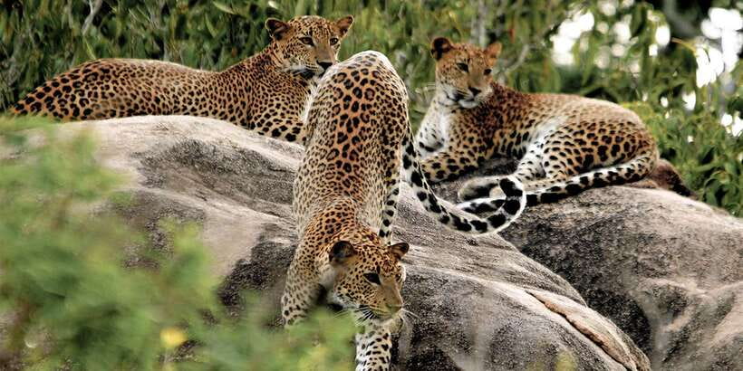 Sri Lanka: Yala National Park Private Safari - At the Yala National Park office and gate