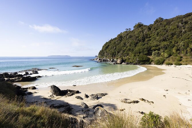 Stewart Island: Guided Wilderness Walk - Leaving Oban by catamaran