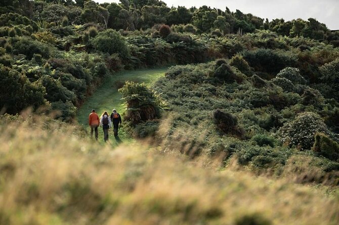 Stewart Island: Guided Wilderness Walk - Three kinds of walking in one outing