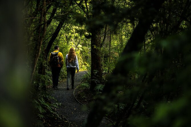 Stewart Island: Guided Wilderness Walk - Is $118 a fair price?