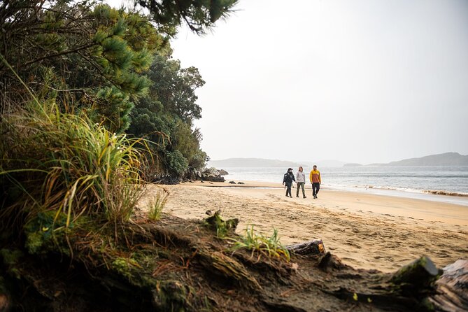 Stewart Island: Guided Wilderness Walk - What to wear and pack