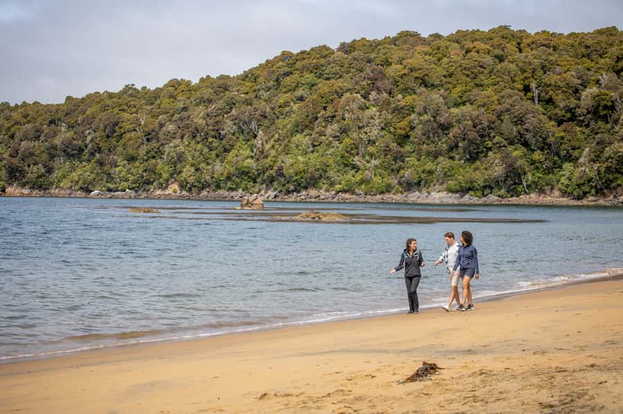 Stewart Island: Ulva Island Guided Wilderness Walk & Cruise - Key points to know before you book