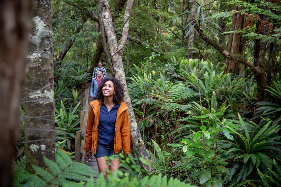 Stewart Island: Ulva Island Guided Wilderness Walk & Cruise - Should you book the Ulva Island cruise and walk?