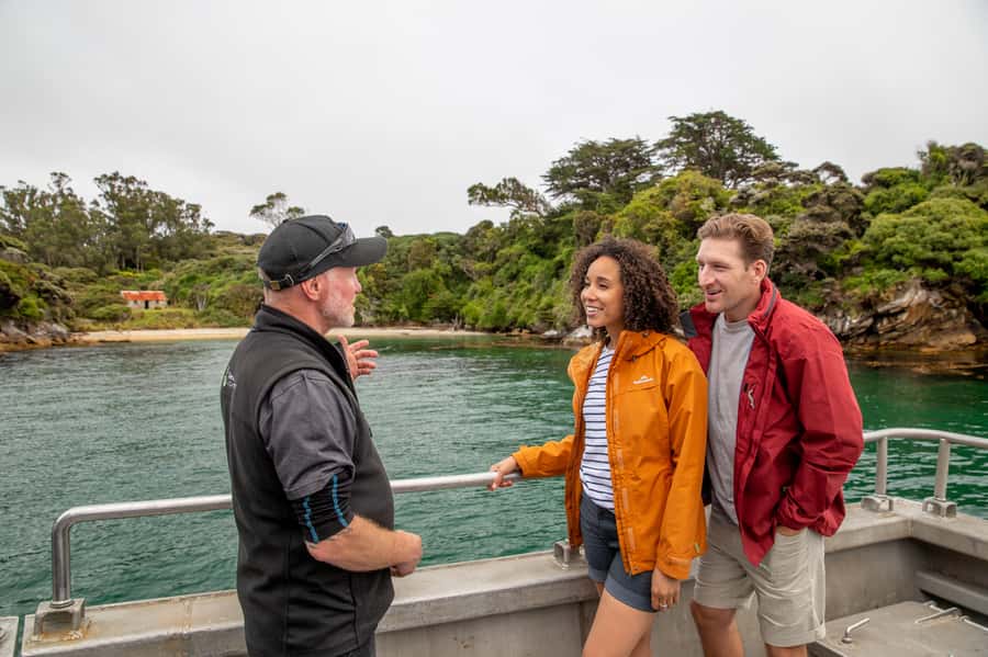Stewart Island: Ulva Island Guided Wilderness Walk & Cruise - Walking through Ulva Island Wildlife Sanctuary