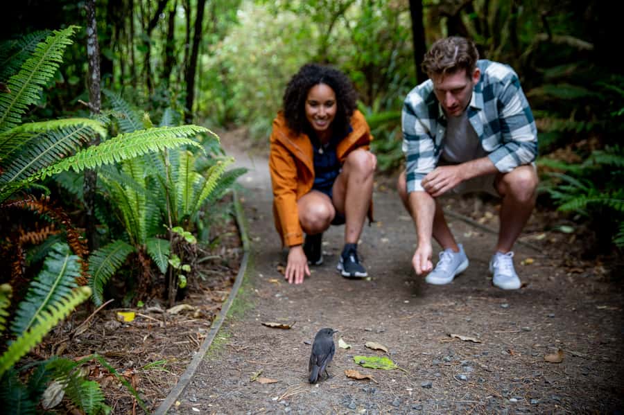 Stewart Island: Ulva Island Guided Wilderness Walk & Cruise - Why a slow pace works here