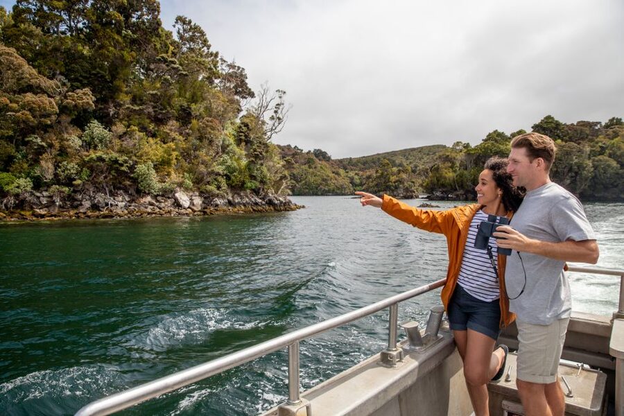 Stewart Island: Ulva Island Guided Wilderness Walk & Cruise - Guides who bring the forest to life