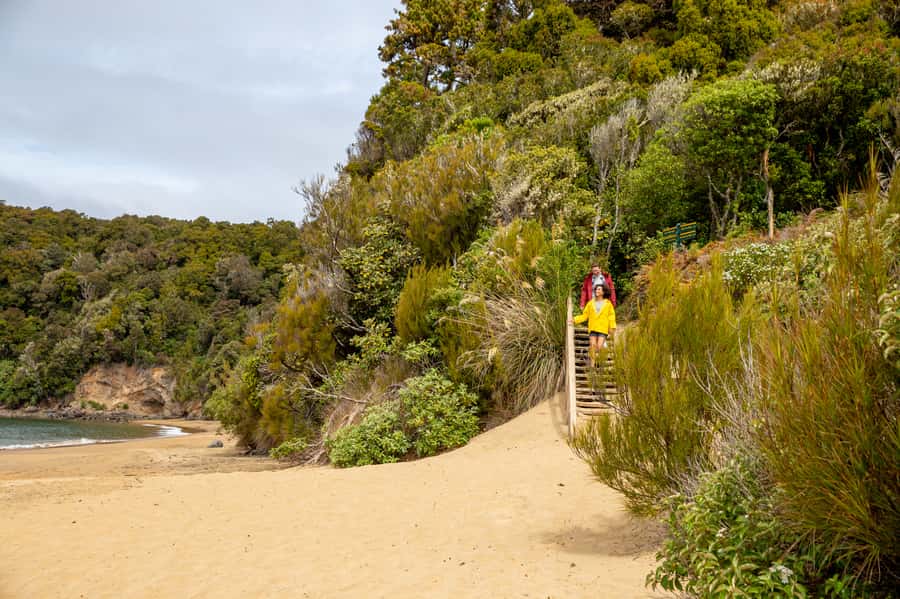 Stewart Island: Ulva Island Guided Wilderness Walk & Cruise - Wildlife is rewarding, but not guaranteed