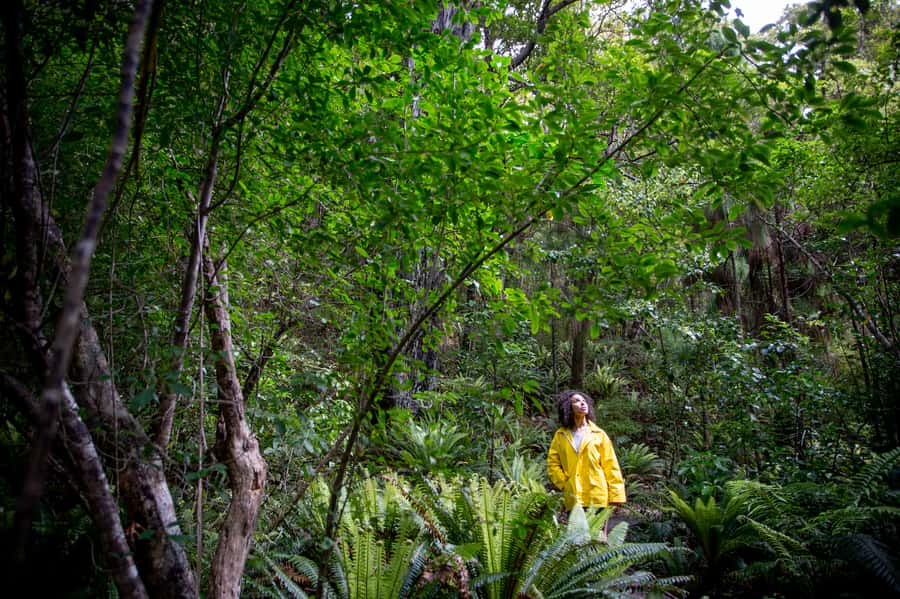 Stewart Island: Ulva Island Guided Wilderness Walk & Cruise - Is $86 a fair price?