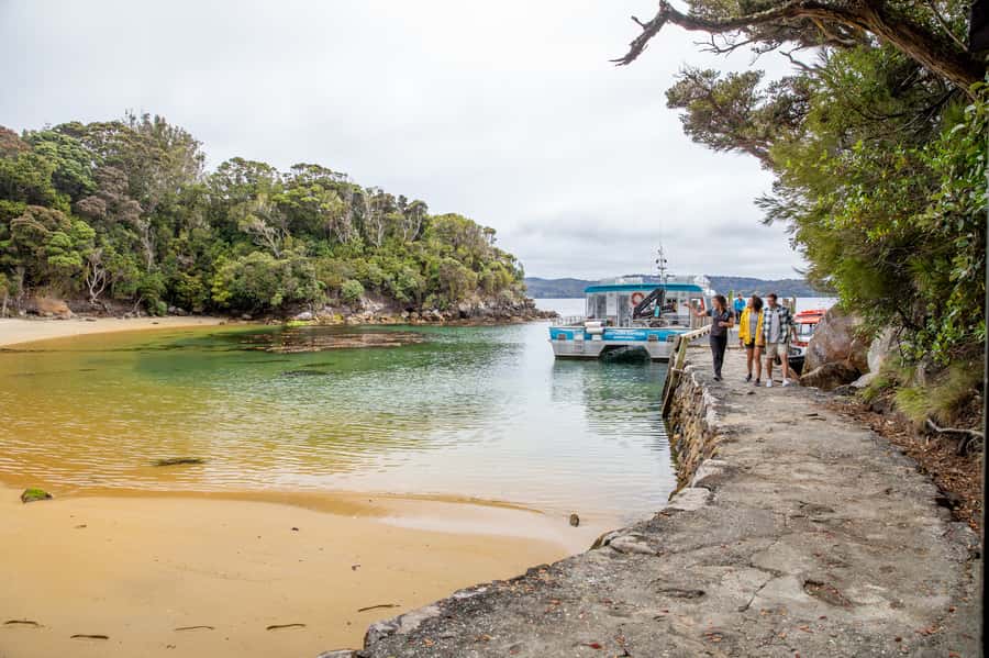 Stewart Island: Ulva Island Guided Wilderness Walk & Cruise - Who will enjoy this outing most?