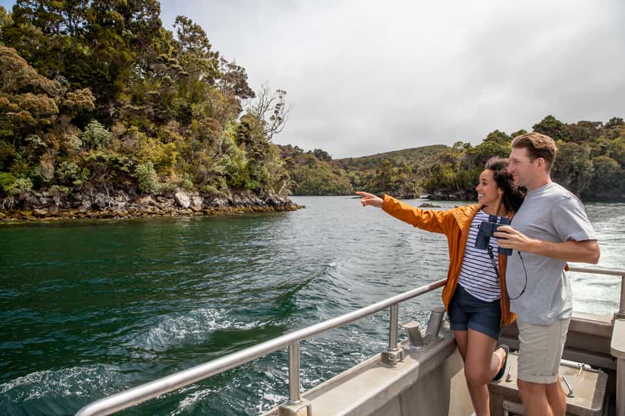 Stewart Island: Ulva Island Guided Wilderness Walk & Cruise - The crossing sets the tone for Ulva Island