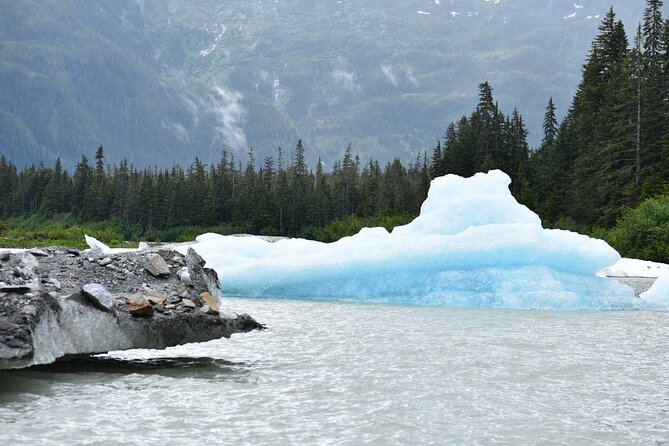 Stikine River Wilderness Tour - What the $249 price buys you