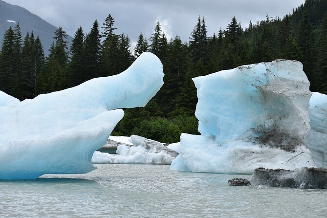 Stikine River Wilderness Tour - Planning your day in Wrangell