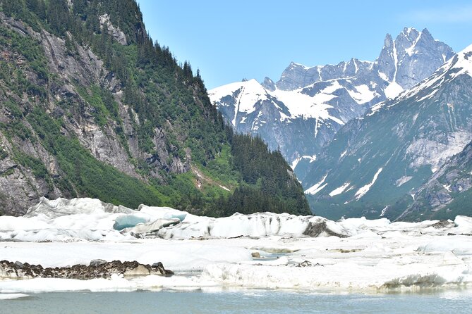 Stikine River Wilderness Tour - Watching for wildlife on the braided river