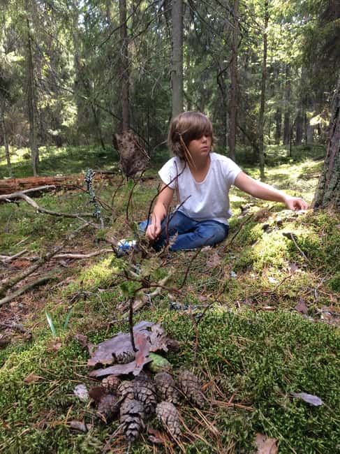 Stockholm: Dog Walk in Nature Reserve with Swedish Fika - Who will enjoy this most