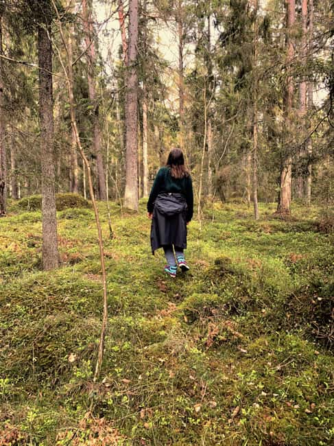 Stockholm: Dog Walk in Nature Reserve with Swedish Fika - Following the mossy paths beside the lake