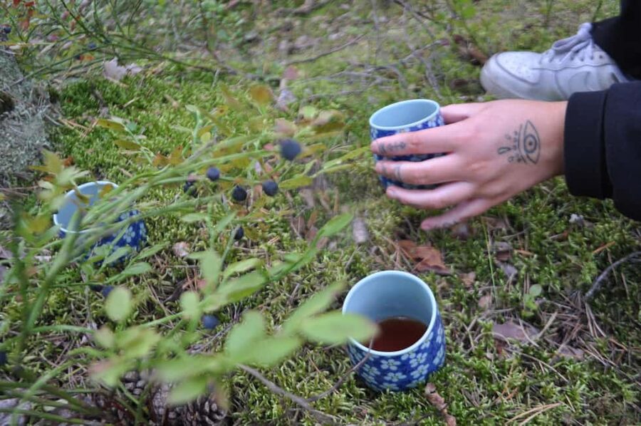 Stockholm: Dog Walk in Nature Reserve with Swedish Fika - Meeting Helena at Högberga station