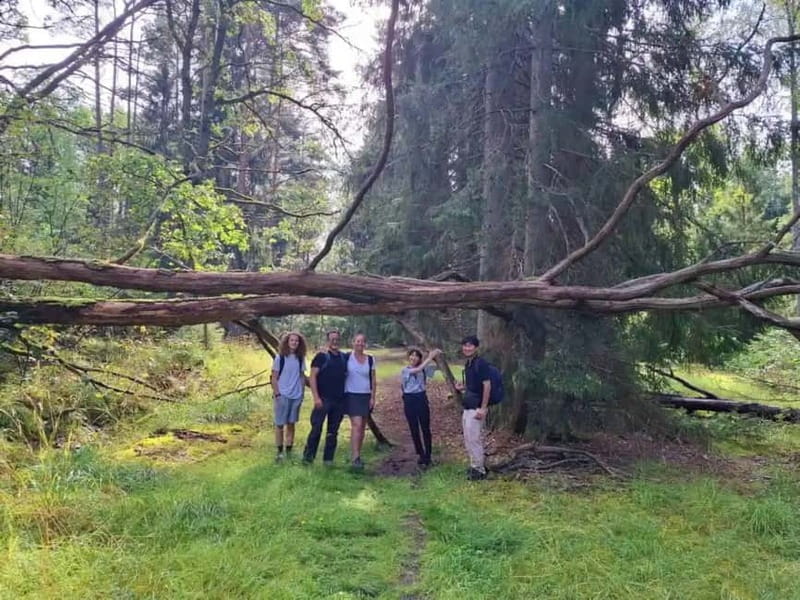 Stockholm: Nature Reserve Hiking Tour with Campfire Lunch - Returning to Stockholm by local bus