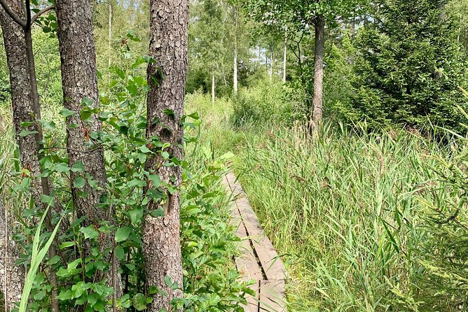 Stockholm: Nature Reserve Hiking Tour with Campfire Lunch - Getting ready for the weather and trail