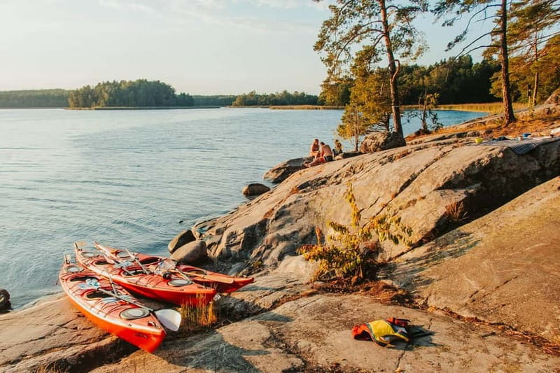 Stockholm: Self Guided Kayak Adventure in Nature Reserve - Wildlife along the shore and above the trees