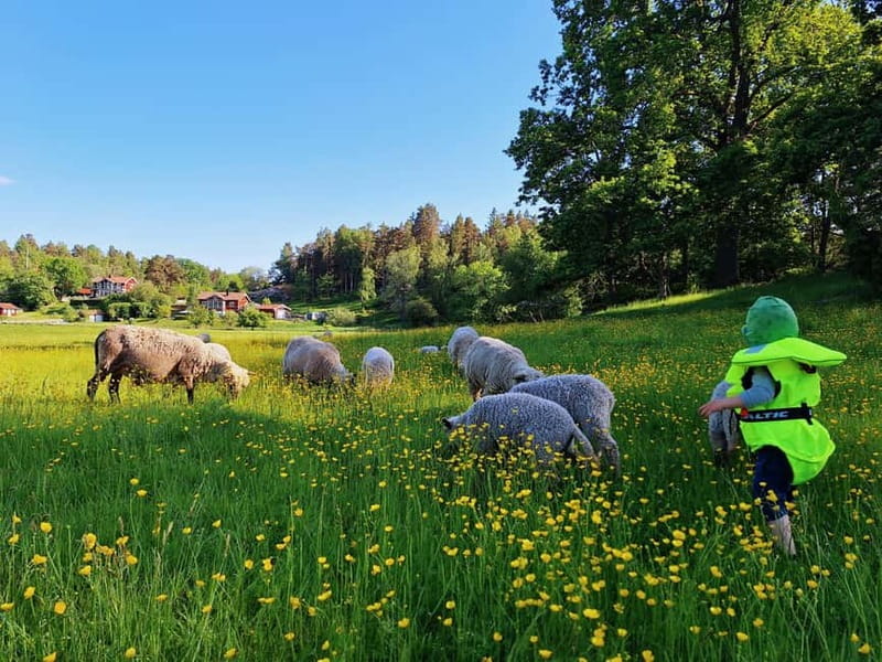 Stockholm: Self Guided Kayak Adventure in Nature Reserve - Who should book this kayak outing?