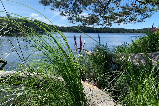 Stockholm: Sunset Hike in Tyresta National Park with Meal - Key points to know before you book
