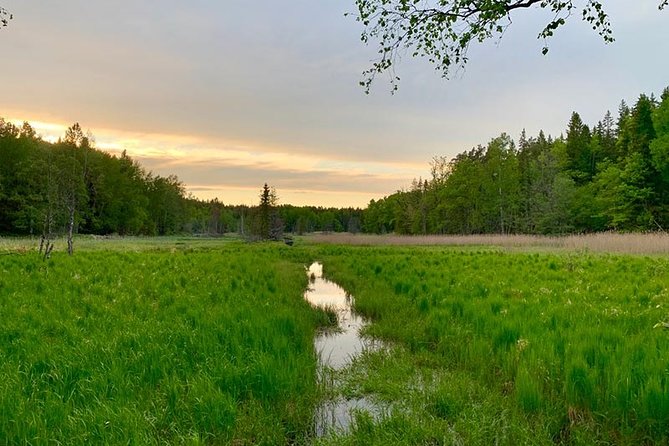Stockholm: Sunset Hike in Tyresta National Park with Meal - From Gullmarsplan to Tyresta in 30 minutes