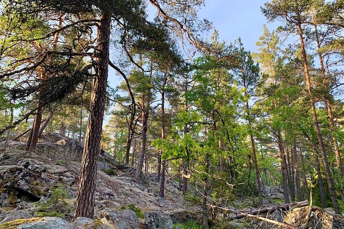 Stockholm: Sunset Hike in Tyresta National Park with Meal - Why dusk is the right time for wildlife