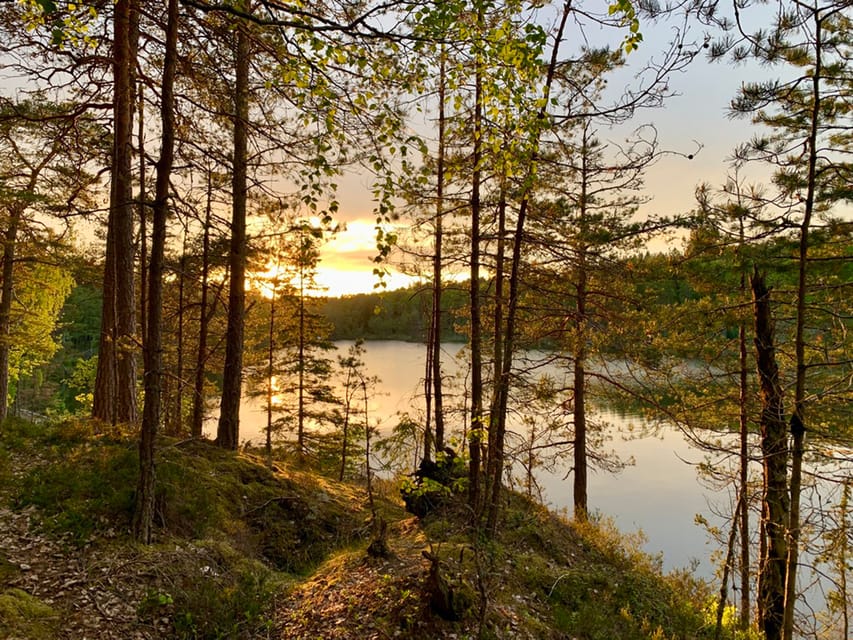 Stockholm: Sunset Hike in Tyresta National Park with Meal - Is $144 a fair price?