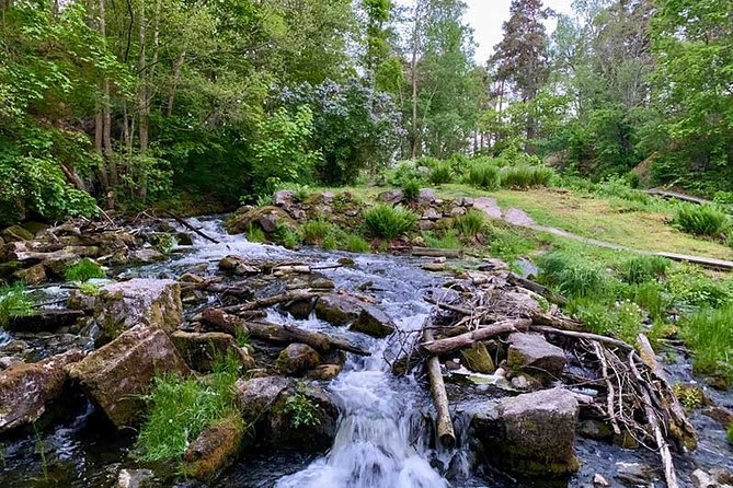 Stockholm: Sunset Hike in Tyresta National Park with Meal - Walking into Tyresta’s old forest