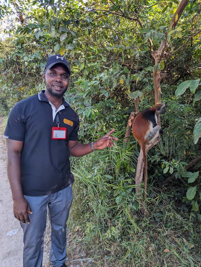 Stone Town: Jozani Chwaka Bay National Park Half-Day Tour - Jozani Forest is the reason to go