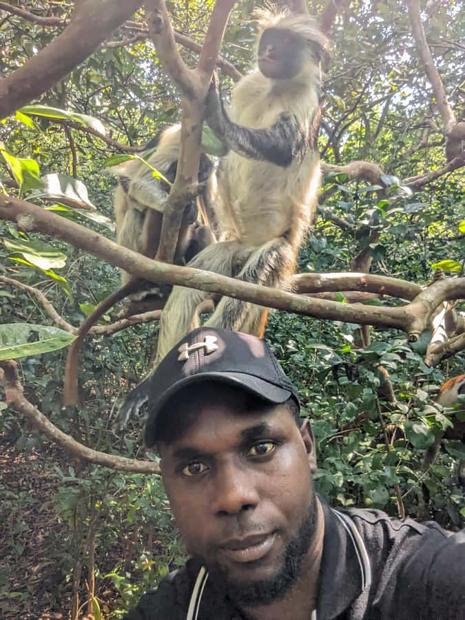 Stone Town: Jozani Chwaka Bay National Park Half-Day Tour - What the $110 price includes