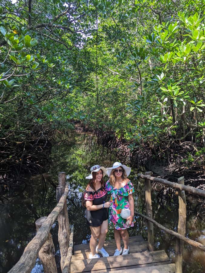 Stone Town: Jozani Chwaka Bay National Park Half-Day Tour - Guides and language choices
