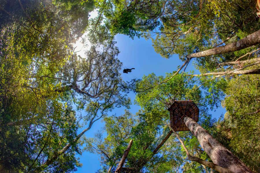 Storms River: Tsitsikamma National Park Zipline Canopy Tour - Key points to know before booking