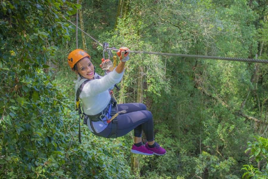 Storms River: Tsitsikamma National Park Zipline Canopy Tour - Flying through Tsitsikamma’s indigenous forest