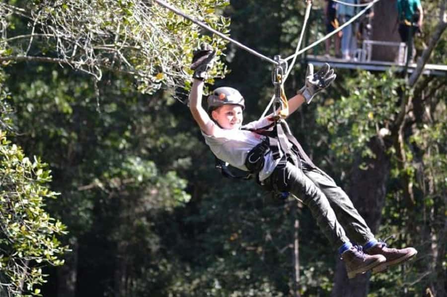 Storms River: Tsitsikamma National Park Zipline Canopy Tour - The first platform is the biggest mental hurdle