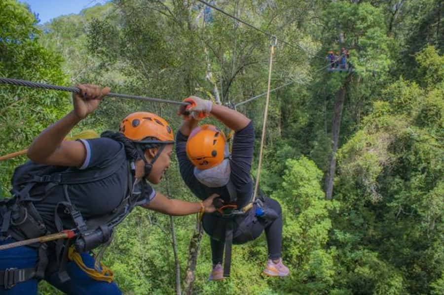 Storms River: Tsitsikamma National Park Zipline Canopy Tour - The 600-meter hike is part of the calculation