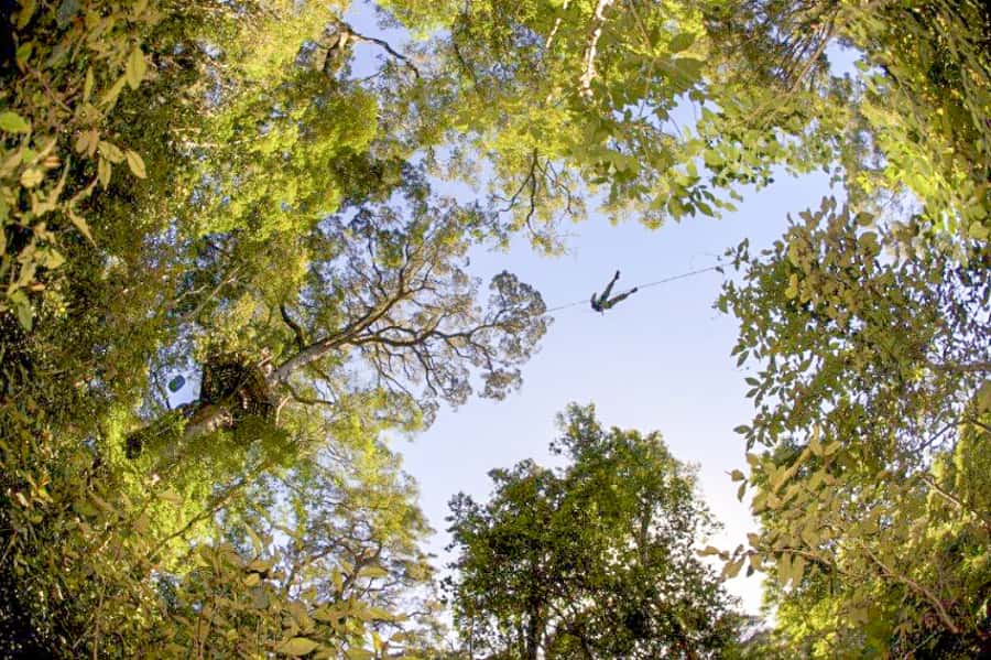 Storms River: Tsitsikamma National Park Zipline Canopy Tour - Is $55 good value for 150 minutes?