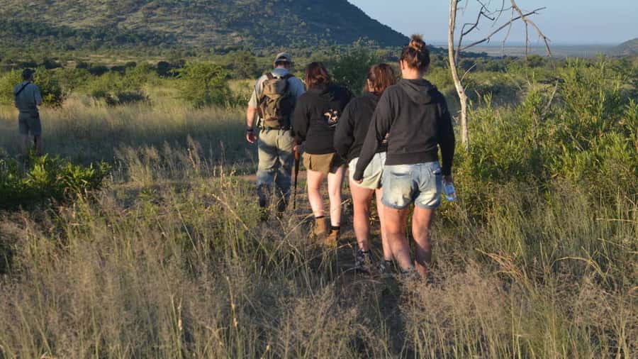 Sun City: Pilanesberg National Park Bush Walk - Walking into Pilanesberg before the day heats up
