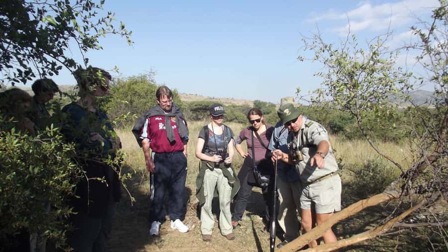 Sun City: Pilanesberg National Park Bush Walk - Sounds, tracks, and the distance of a lion