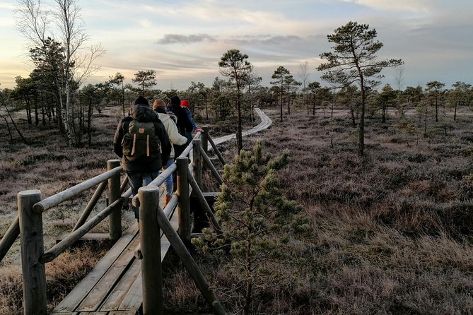 Sunset at Kemeri National Park - The Great Kemeri Bog walk, step by step