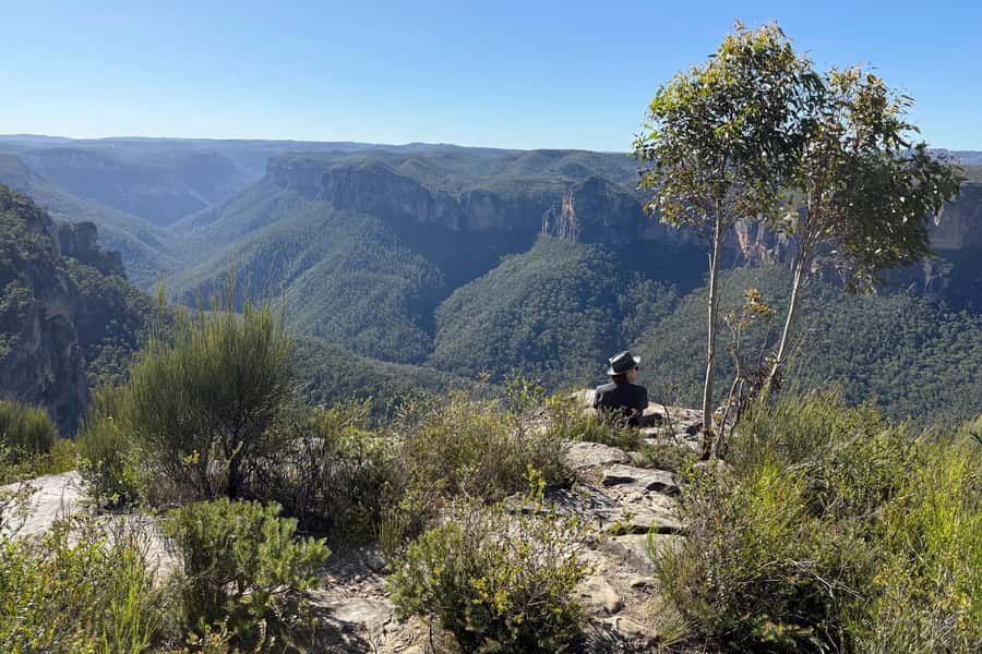 Sydney: Blue Mountains Kangaroos, Wilderness and Sunset Tour - Kangaroos after the crowds thin out
