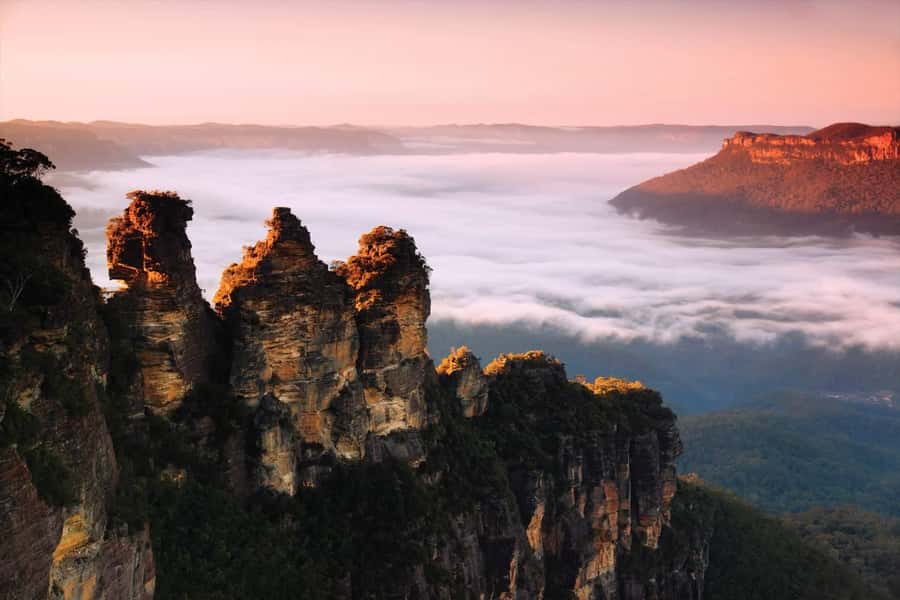 Sydney: Blue Mountains National Park Tour with River Cruise - Sydney Zoo before the Blue Mountains crowds