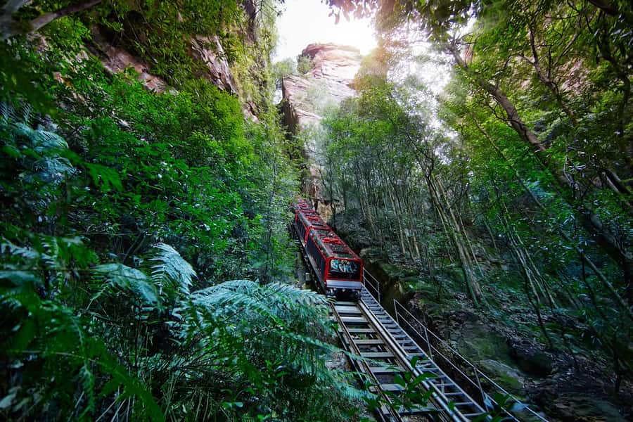 Sydney: Blue Mountains National Park Tour with River Cruise - Lincoln’s Rock and Cliff Drive