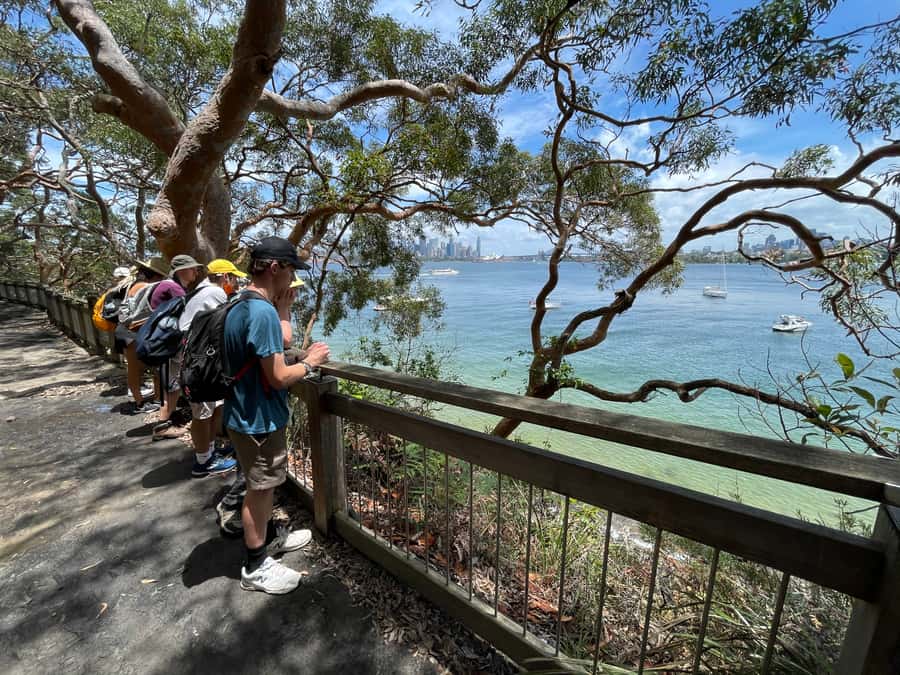 Sydney Harbour National Park 2-Hour Walking Tour - A Two-Hour Walk Beyond the Harbour Icons