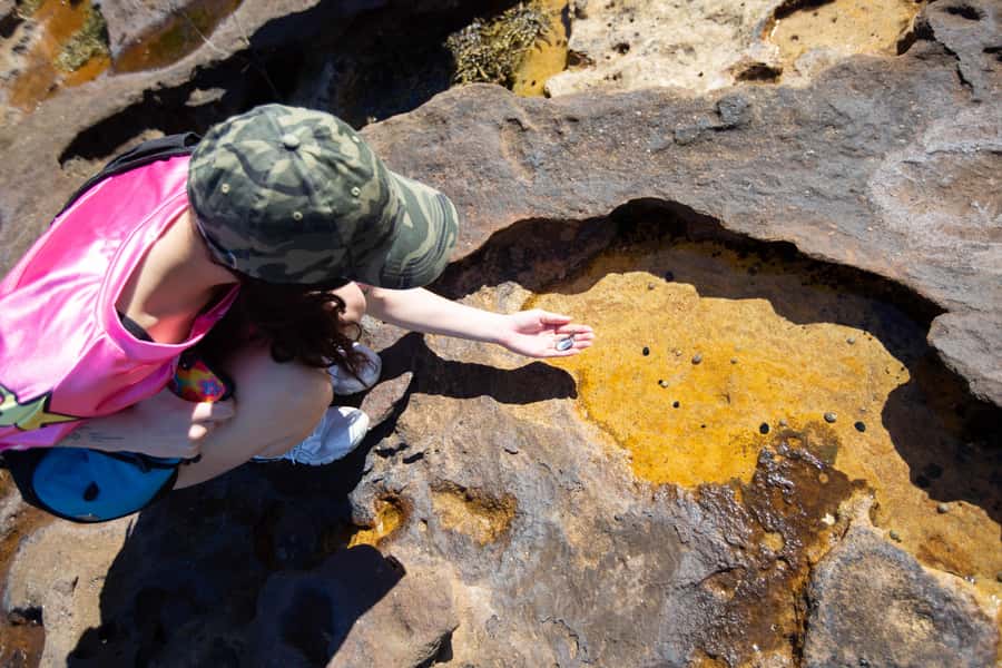 Sydney Harbour National Park 2-Hour Walking Tour - Aboriginal Heritage and the Park’s Earlier Stories