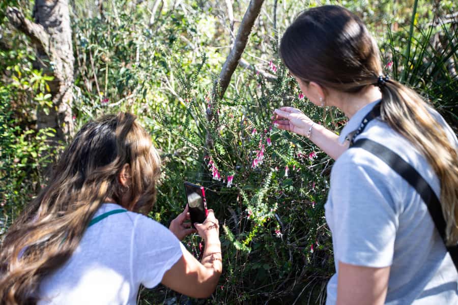 Sydney Harbour National Park 2-Hour Walking Tour - Who Will Enjoy This Walk Most