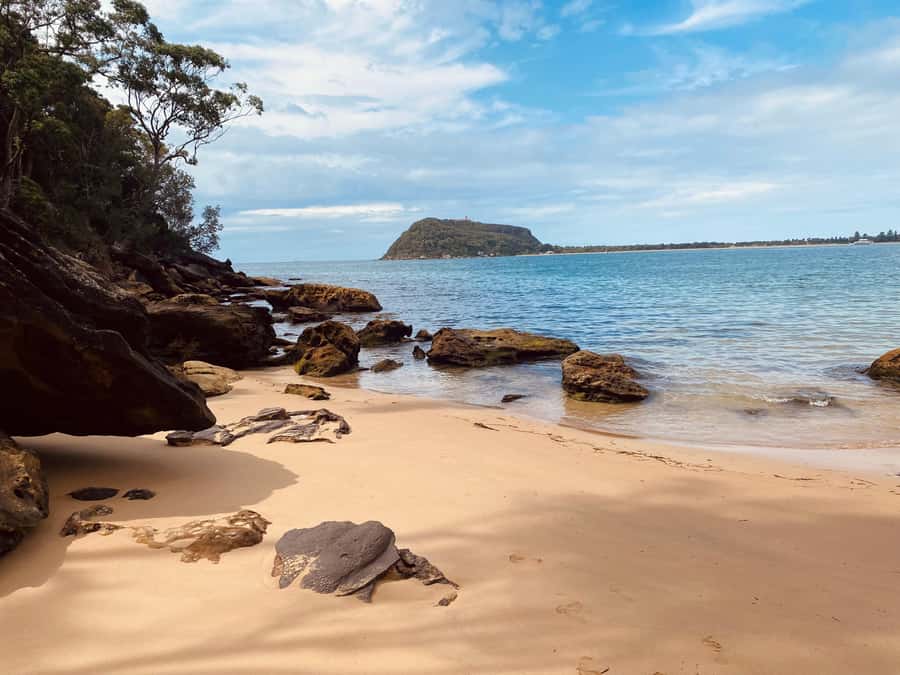 Sydney: Ku-ring-gai National Park with swim and picnic - Key points to know before booking