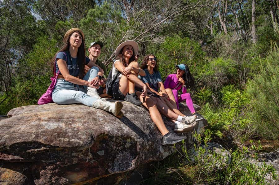 Sydney: Ku-ring-gai National Park with swim and picnic - Aboriginal rock engravings and the meaning of the park